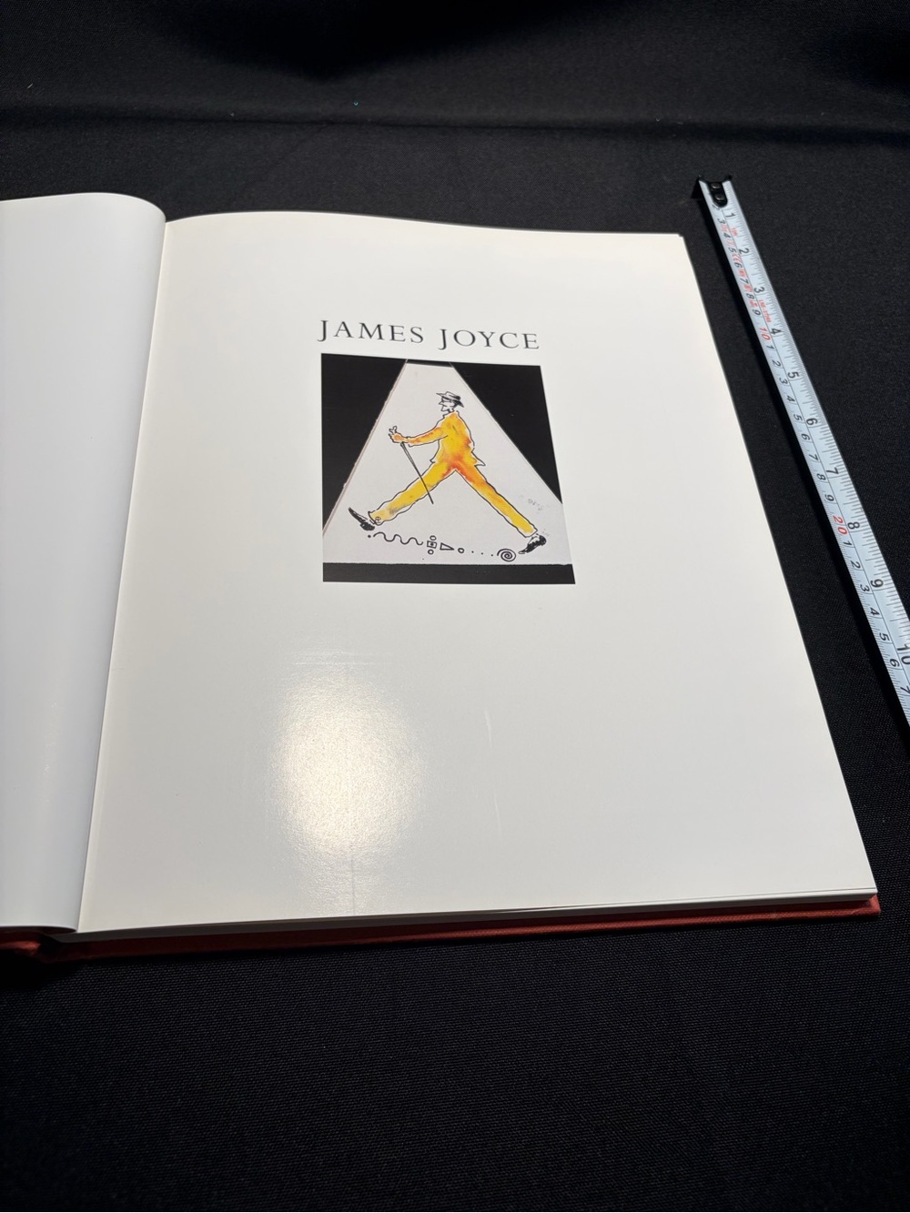 James Joyce Coffee Table Book